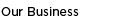 Our Business
